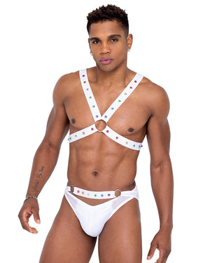 6337 - Mens Pride Harness